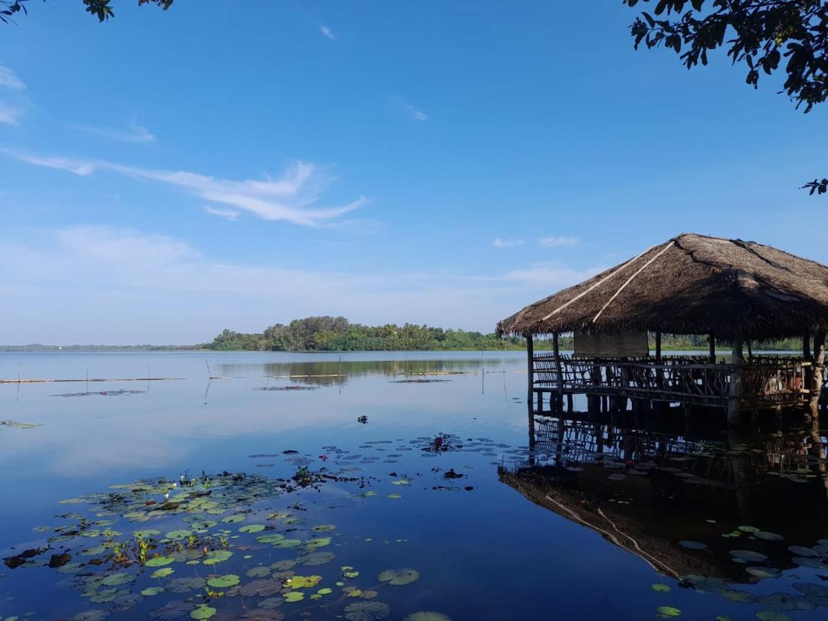 Lake Resort Bolgoda วัดดูวา ภายนอก รูปภาพ